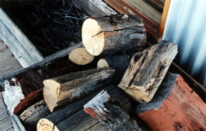 Watch out for spiders in the wood!!!